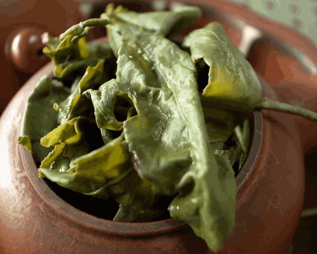 【梨山】烏龍茶
